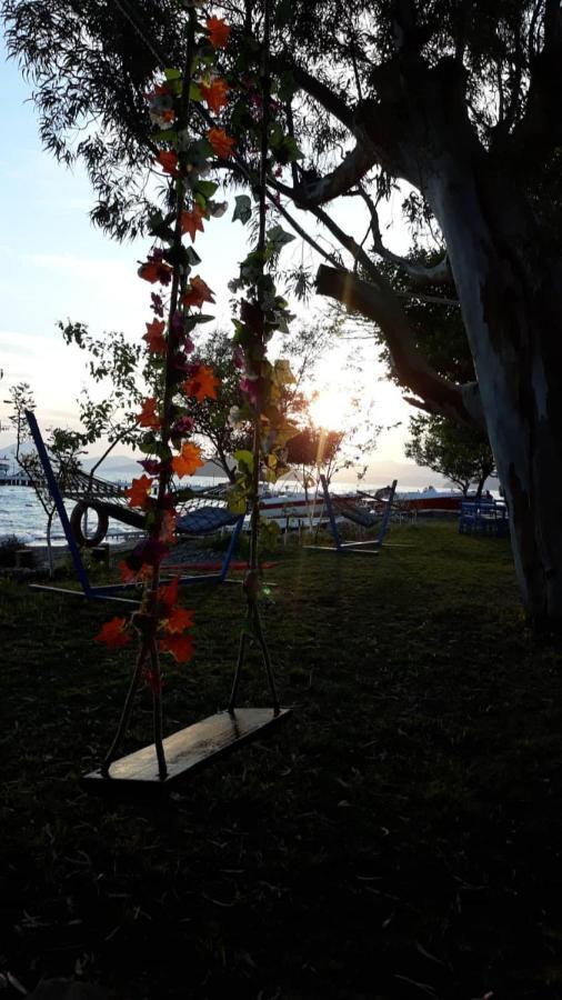 Okaliptus Butik Hotel Fethiye Ngoại thất bức ảnh