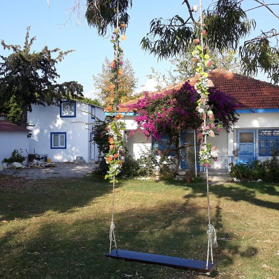 Okaliptus Butik Hotel Fethiye Ngoại thất bức ảnh