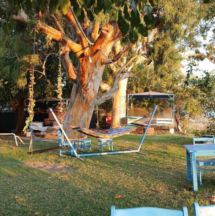 Okaliptus Butik Hotel Fethiye Ngoại thất bức ảnh