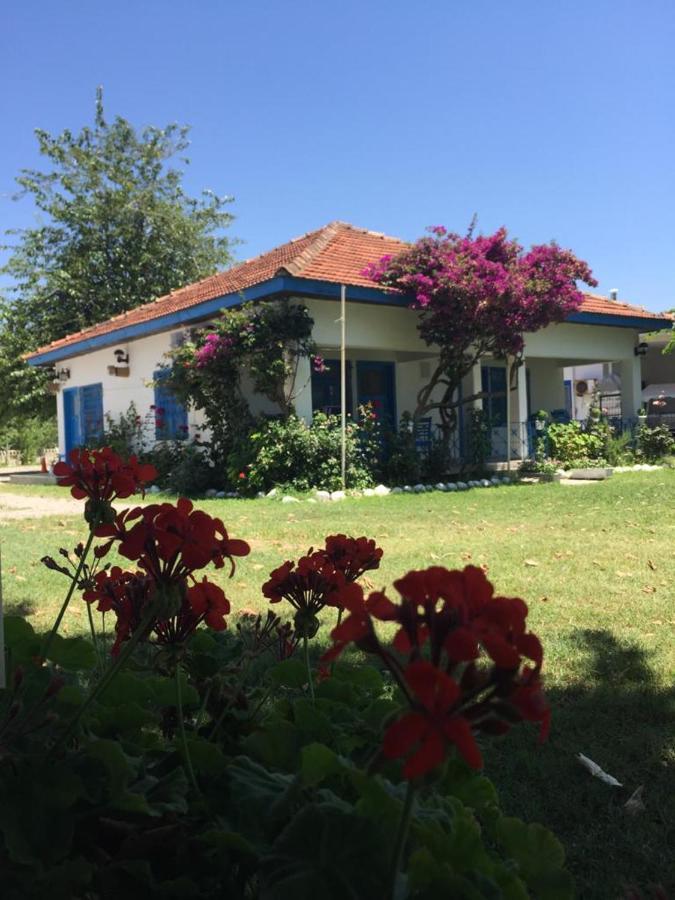 Okaliptus Butik Hotel Fethiye Ngoại thất bức ảnh